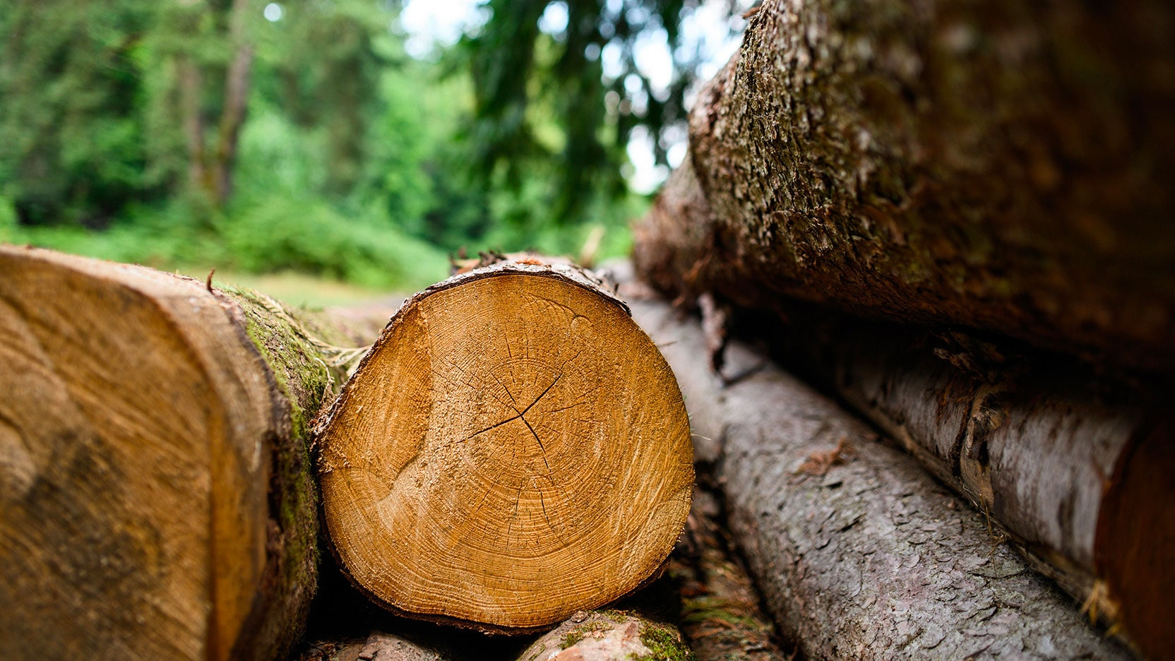 Le Groupe GA, promoteur immobilier, concepteur, constructeur, accueille Ossabois, entreprise de construction bois, en devenant le nouvel actionnaire à 100 %.